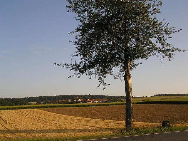 die Fahrt geht über Neu Berich, das in diesem Jahr seinen 100. Geburtstag feierte