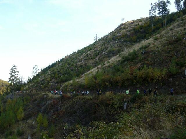 Harz-Gebirgslauf Wernigerode, 11-Kilometer-Strecke.