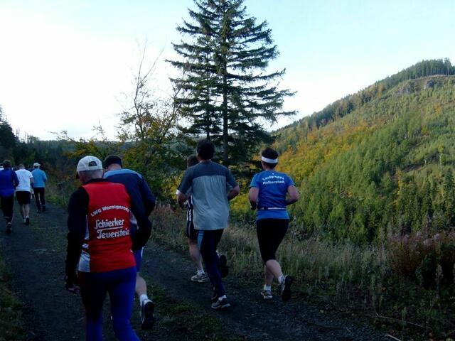 Harz-Gebirgslauf Wernigerode, 11-Kilometer-Strecke.