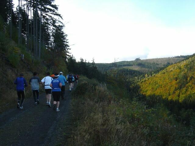 Harz-Gebirgslauf Wernigerode, 11-Kilometer-Strecke.
