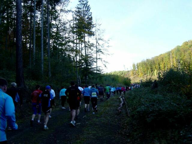 Harz-Gebirgslauf Wernigerode, 11-Kilometer-Strecke.