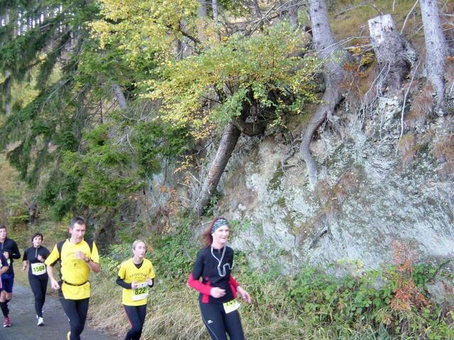 Harz-Gebirgslauf Wernigerode, 11-Kilometer-Strecke.