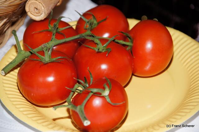Verein der Blumen- und Gartenfreunde Friedberg - Fachvortrag zum Thema gesunde Ernährung am 10. Oktober 2012 - Tomatenmenge mit 100 Kalorien