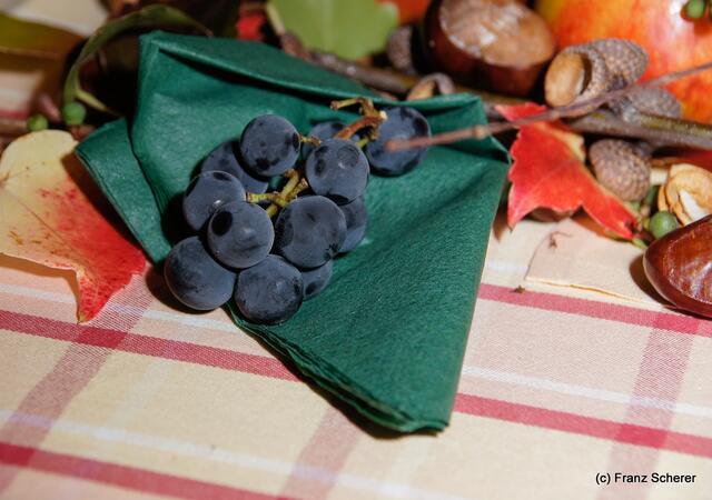 Verein der Blumen- und Gartenfreunde Friedberg - Fachvortrag zum Thema gesunde Ernährung am 10. Oktober 2012
