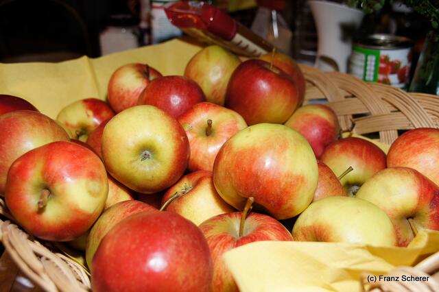 Verein der Blumen- und Gartenfreunde Friedberg - Fachvortrag zum Thema gesunde Ernährung am 10. Oktober 2012