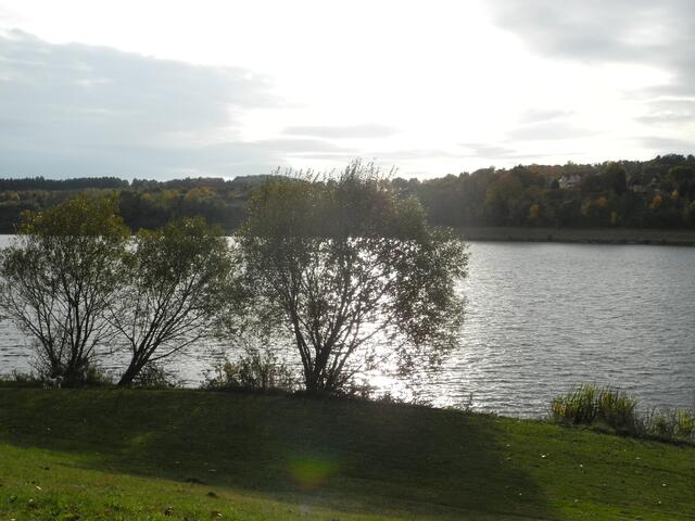 Gegenlicht