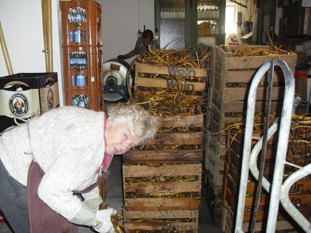 Mühsame Arbeit für Sieglinde Weber.