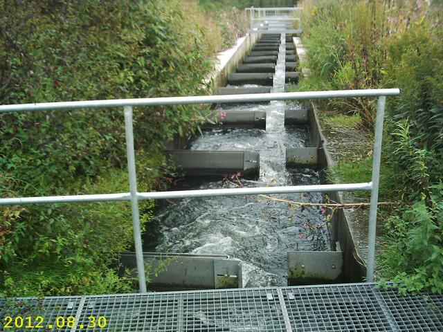 Greene: Am Leine-Wehr Umgehungsarm Greene ca. 2010 entstandener Fischpass ohne Kombilösung ! Die Schlitzwände müßten hier unnötig aufwändig gegen die Borstenplatten ausgetauscht werden ! Warum nicht gleich richtig machen und damit der Kanutourismusentwicklung auch dienen. Zumal anläßlich des demographischen Wandels, der immer häufiger älteren Menschen Bewegung in freier Natur ermöglichen muß, das Umtragen des bepackten Kanu's unmöglich ist !  Zumindest ist der Pass natürlicher als der an der Donau angelegt