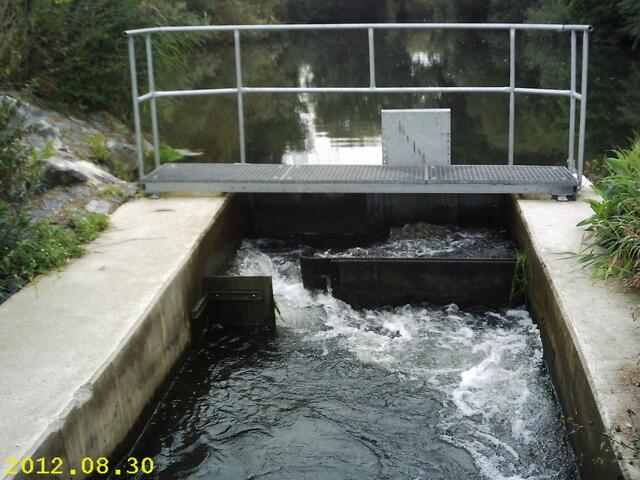 Greene: Am Leine-Wehr Umgehungsarm Greene ca. 2010 entstandener Fischpass ohne Kombilösung ! Die Schlitzwände müßten hier unnötig aufwändig gegen die Borstenplatten ausgetauscht werden ! Warum nicht gleich richtig machen und damit der Kanutourismusentwicklung auch dienen. Zumal anläßlich des demographischen Wandels, der immer häufiger älteren Menschen Bewegung in freier Natur ermöglichen muß, das Umtragen des bepackten Kanu's  fast unmöglich ist !