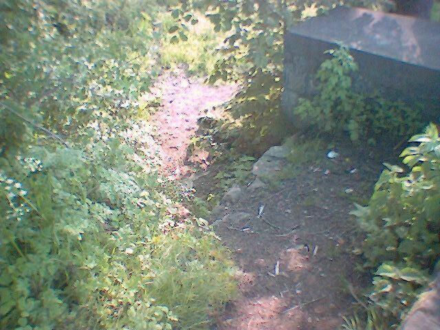 Schulenburg: Neben dem Schulenburger Leinewehr, wo leider kein Kombipass gebaut wurde, die steile, unwegsame Stiege zum Unterwasser. Für einen Einzelkanuwanderer eine unmögliche Hürde, hier sein 90Kg gewichtiges Boot mit Gepäck, ohne Aus- und wieder Einpacken, umzusetzen ! Eine Chance für einen Kombi-Kanu-Fisch-Pass existiert noch im Umgehungsarm!