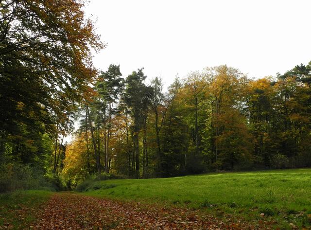 Nun geht es links ab - wieder abwärts nach Wetterburg