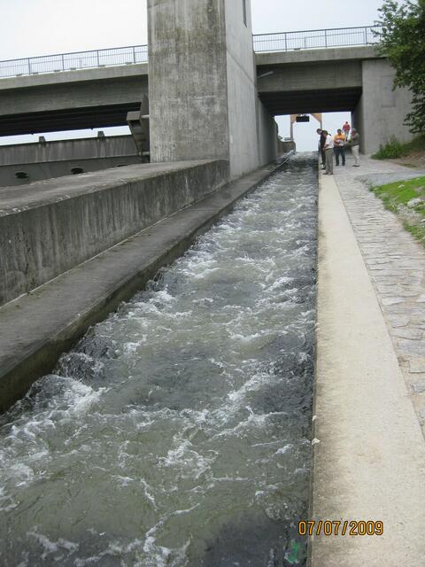 Straubing Donau: Aufwärts für Fische und ihr Futter...