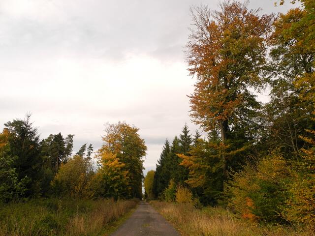 Nach Norden - Richtung Neu Berich - da weiß ich leider nichts, wie weit und bis wohin die Wildunger Straßen früher führte............