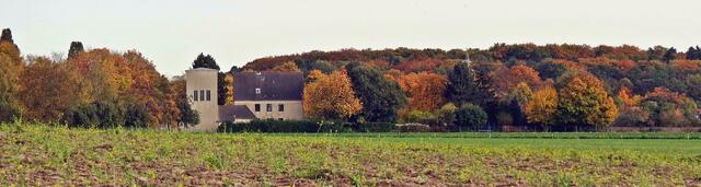 Peine; Sundern, Herzberg