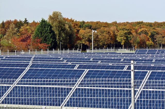 Solarpark und Bültener Holz