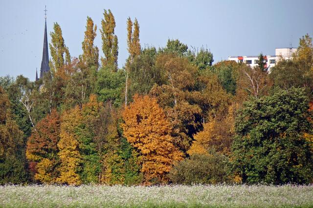 Blick von Handorf auf Peine