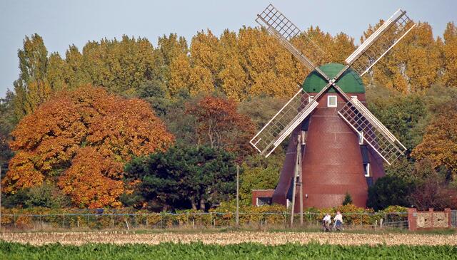 Windmühle bei Peine-Vöhrum