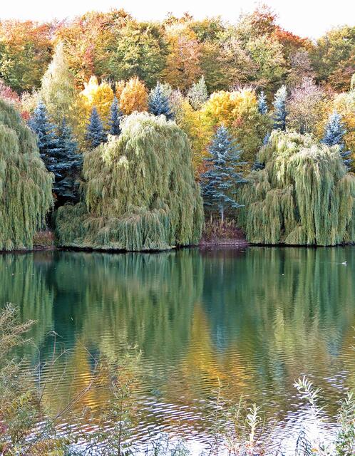 Waldsee bei Bülten