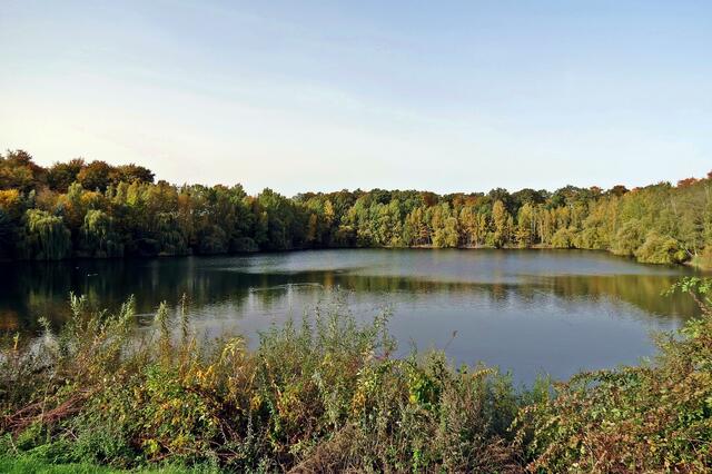 Waldsee bei Bülten