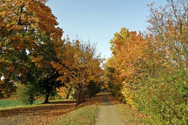 Weg nähe Mittellandkanal-Brücke bei Peine
