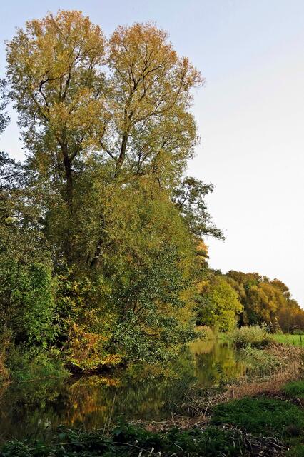 Fuhse bei Peine-Eixe