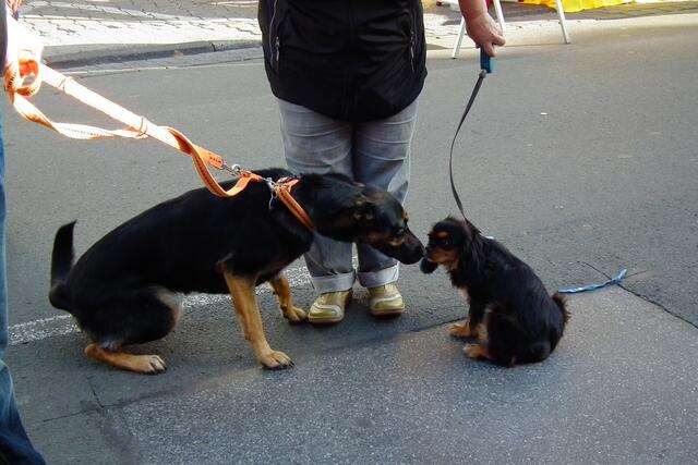 Die Beiden haben sich gesucht und gefunden!