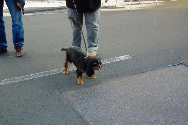 Ist der nicht süß?