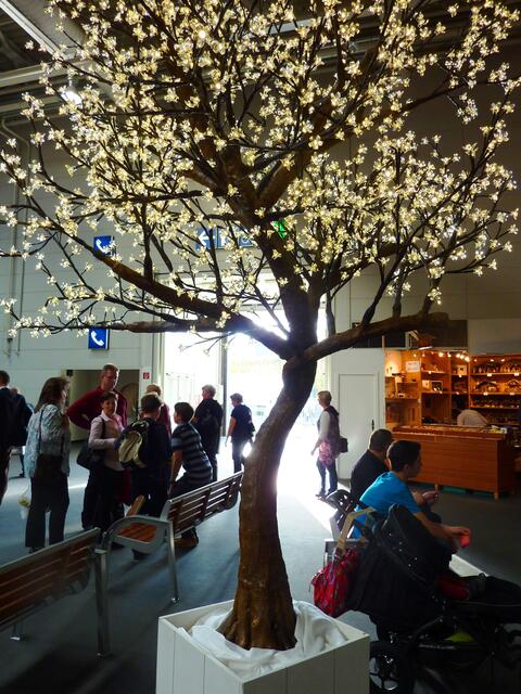 Der Lichterbaum strahlte mit dem durch das Tor einfallenden Sonnenlicht um die Wette.