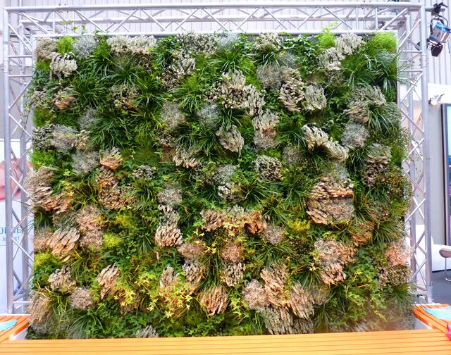 Die Pflanzwand befindet sich in diesem Rahmen in der Ruhezone des NDR.