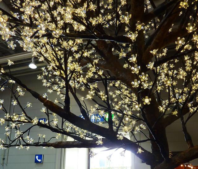 Ich war von diesen Lichterbäumen ganz begeistert.