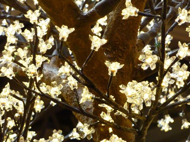 Leuchtende Blüten aus Glas