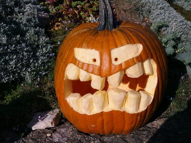 Hugo der Gartenschreck aus den Fuchslöchern in Kleinjena