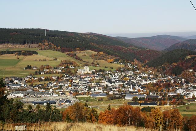Blick auf Willingen