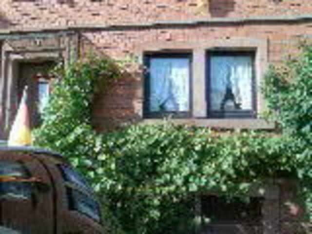Die süßen Trauben am Haus----Fenster darüber waren die beiden Wohnzimmerfenster.