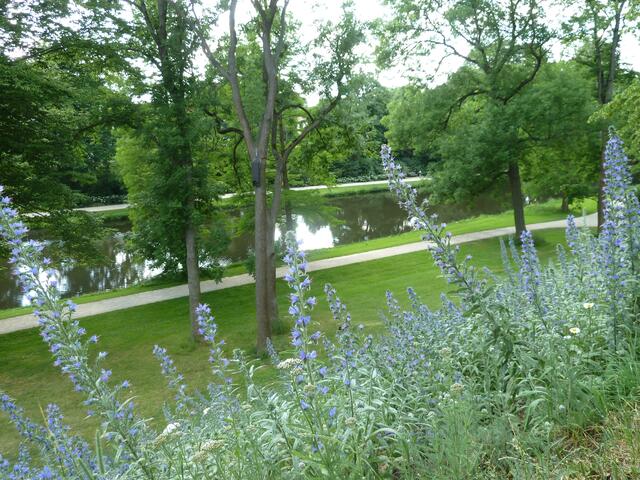 Landschaftspark mit Wassergraben.