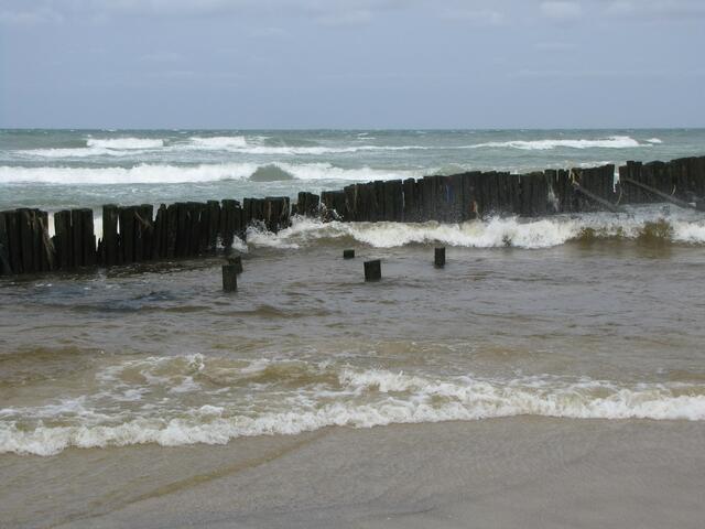 Wasser ist Leben.....