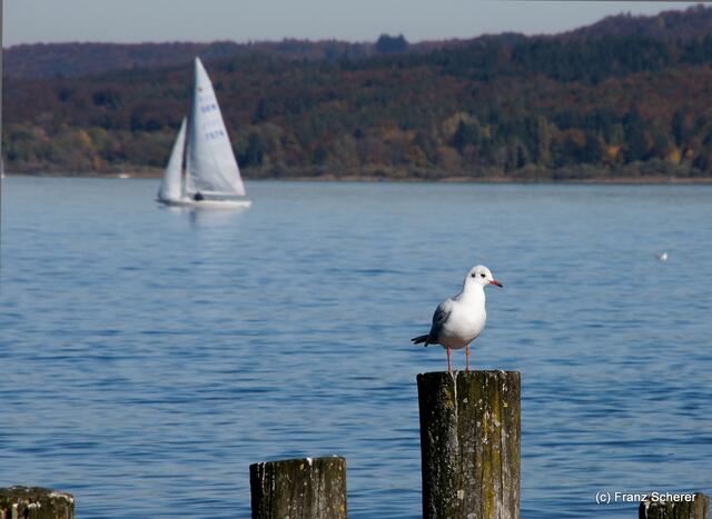Herbstspaziergang am bayerischen Ammersee im Oktober 2012