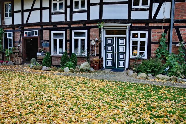 Ich gehe jetzt gleich rein ...