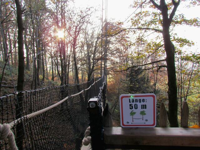 50. Meter lang ist diese Hängebrücke am Baumkronenpfad im Vogelsberg-Hoherodskopf