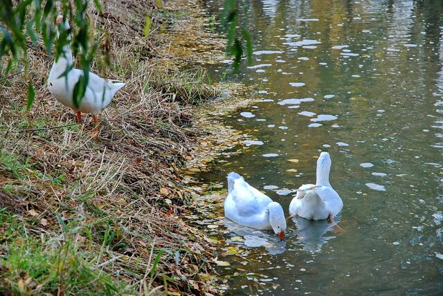 Was gibt es unter Wasser zu sehen?