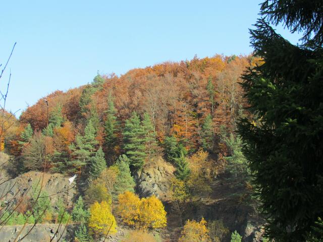 Der herbstliche Steinbruch bei Rachelshausen am 22. Oktober