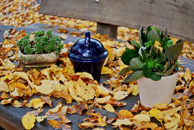 Noch ein wenig Grün ...