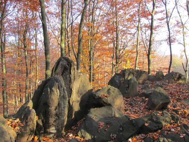 Felsen und Herbstwald beim Hoherodskopf, in einer Höhe über 700 m üNN