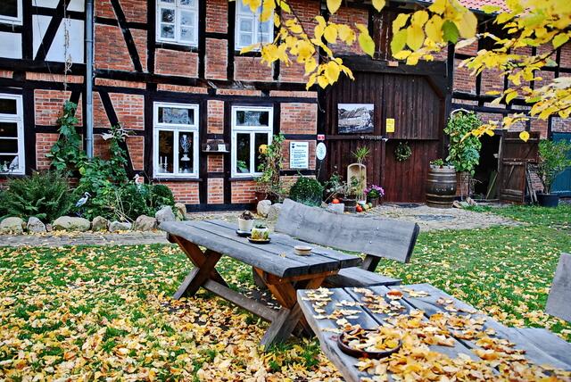 Herbst an der Eltzer Mühle