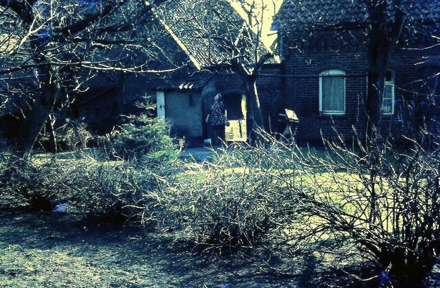 hinter Wohnhaus %2b Stall der große Garten