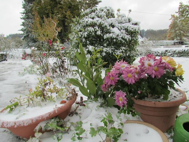 Der erste Schnee am 27. Oktober im Hohen Vogelsberg