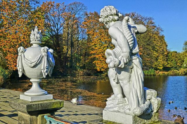 Das kleine Schwanekin