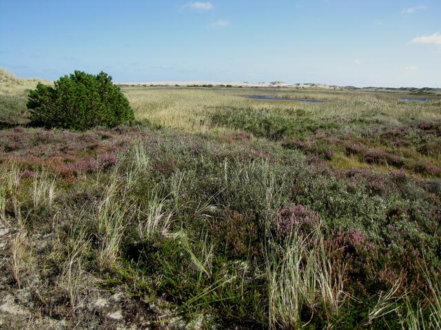 Typisches Landschaftsbild
