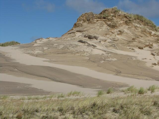 Der nördliche Sandwall hinter Råbjerg Mile.