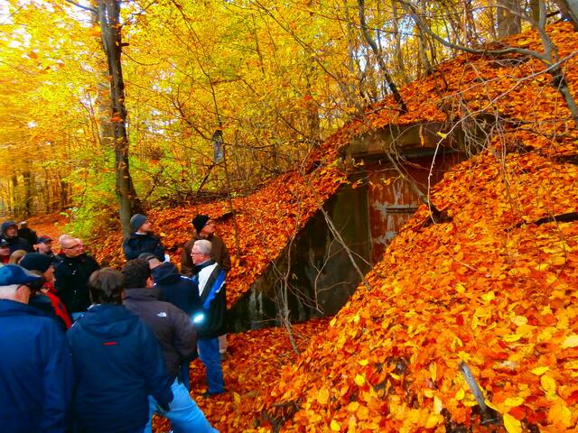 Einer von ca. 50 Bunker, die es noch gibt im Herrenwald. Die meisten sind heute verpachtet